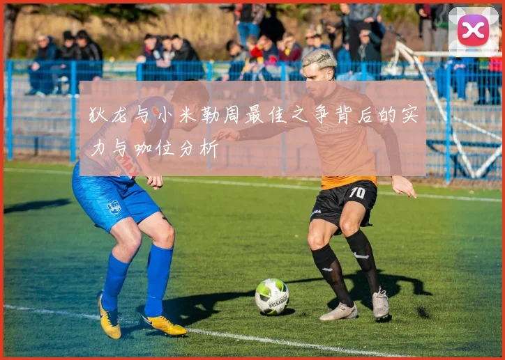 狄龙与小米勒周最佳之争背后的实力与咖位分析